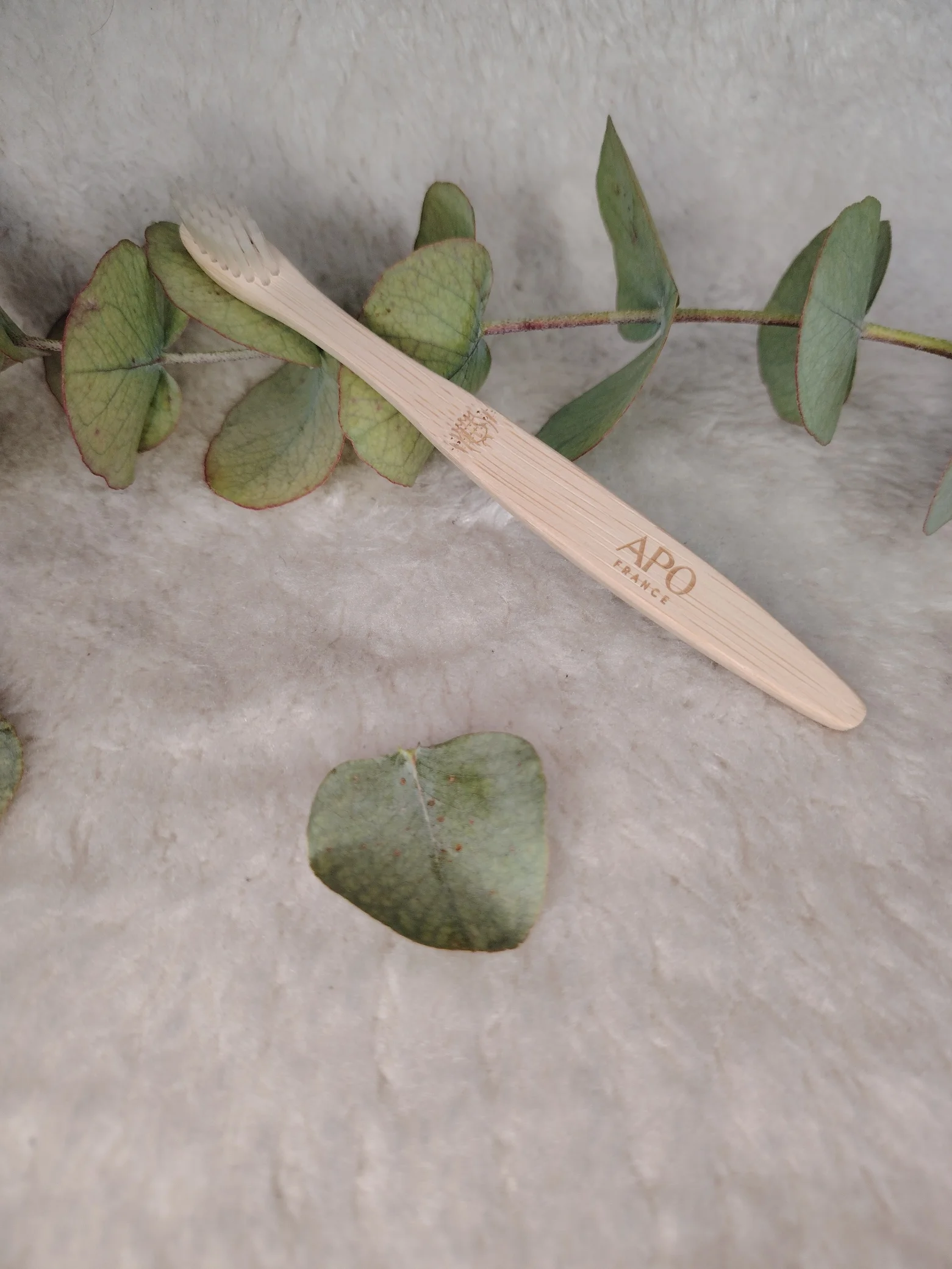 Brosse à dents enfant Princesse APO