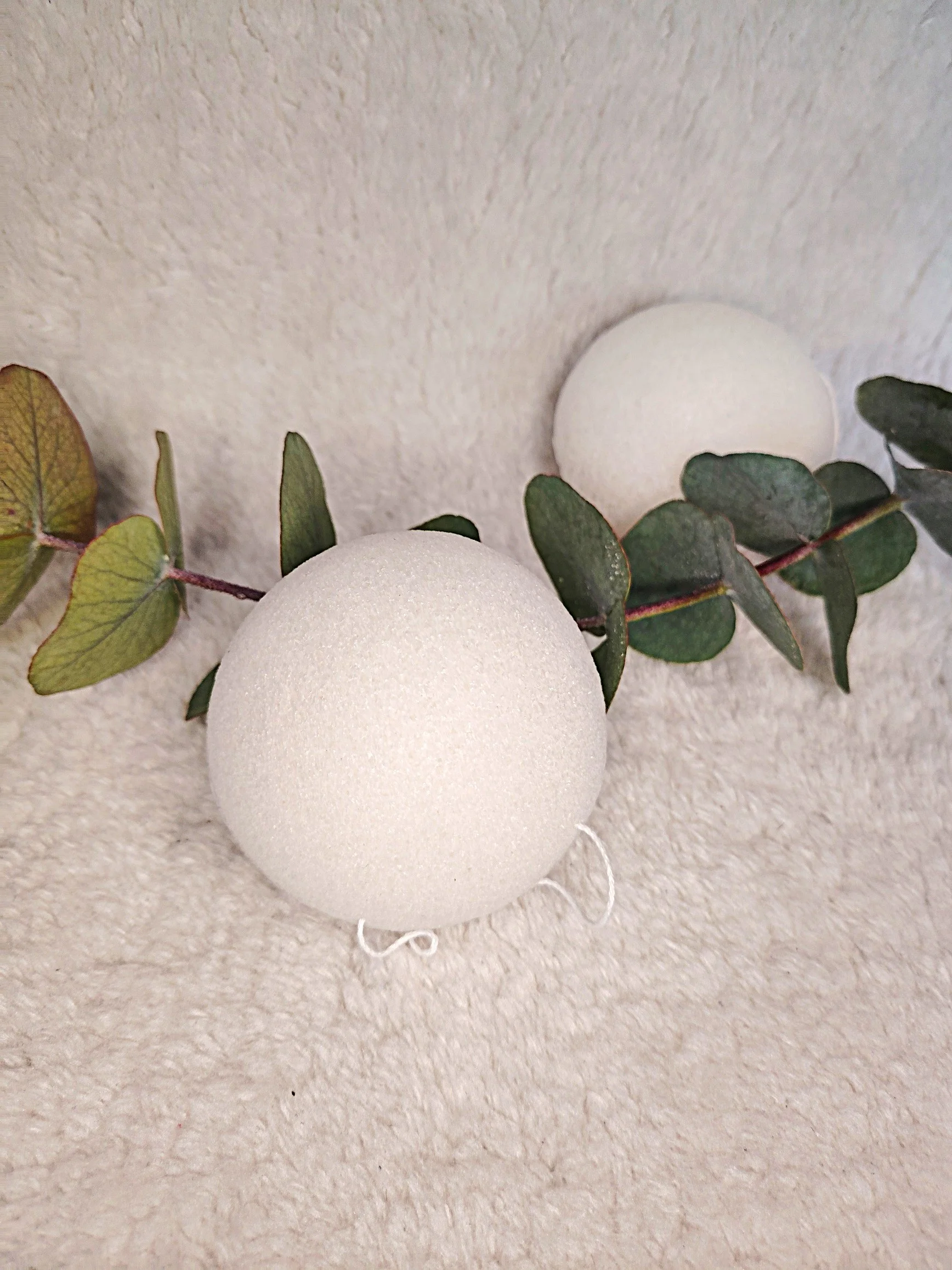 Eponge konjac